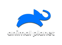 Animal Planet