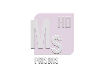 MS Prisons онлайн