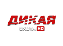 Дикая охота онлайн